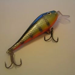 Eräkontio Kojamo -lohivaappu 6.