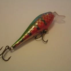 Eräkontio Kojamo -lohivaappu 24.